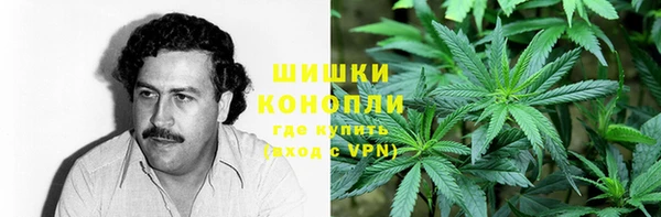 a pvp Аркадак