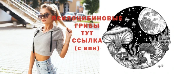 a pvp Аркадак