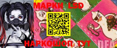 стаф Новодвинск