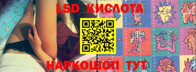 стаф Новодвинск