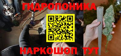 бошки Новозыбков