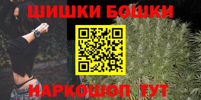 стаф Новодвинск