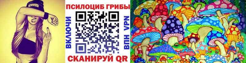 Галлюциногенные грибы Psilocybe наркошоп дарк нет телеграм Сосновоборск
