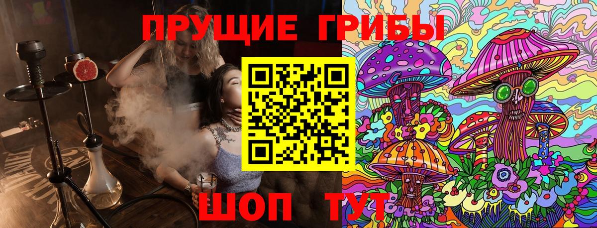 Галлюциногенные грибы Magic Shrooms  Псилоцибиновые грибы ЛСД  Сосновоборск  Вход с VPN 